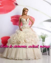 Robe de mariée prestige Ivoire bustier échancré à bretelle VENDU avec jupon adapté.