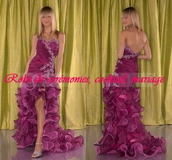 Robe de soiré violine broderie argenté robe fenté