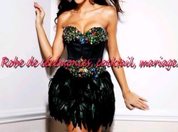 Robe de soirée CS noir à plume